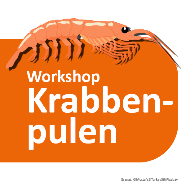 Krabbenpulen Workshop