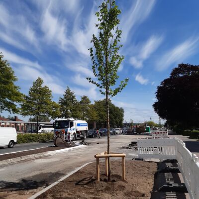 Bild vergr&ouml;&szlig;ern: Bahnhofstra�e
