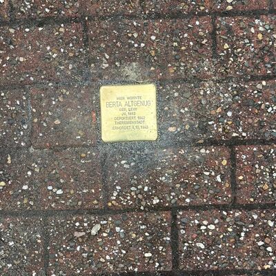 Bild vergr&ouml;&szlig;ern: Stolpersteine03