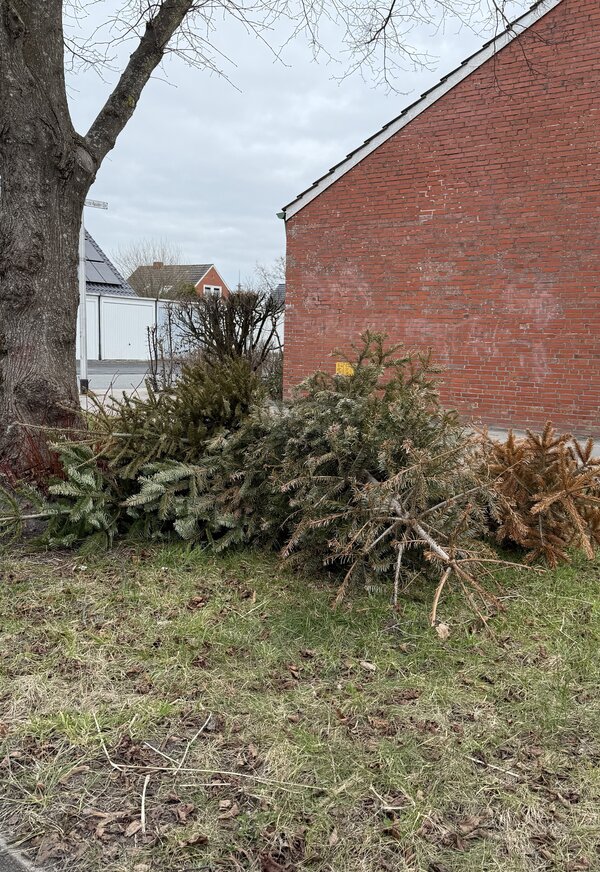 Bild vergr&ouml;&szlig;ern: Wilder M�ll