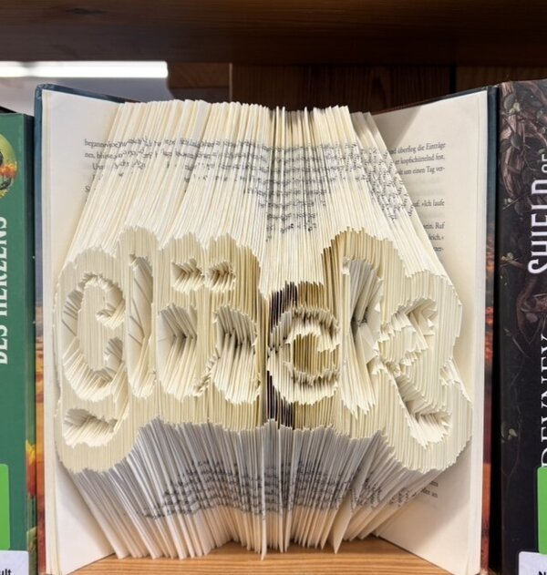 Bild vergr&ouml;&szlig;ern: Ein offenes Buch, bei dem durch Faltung der Seiten ein visuelles Wort entsteht.