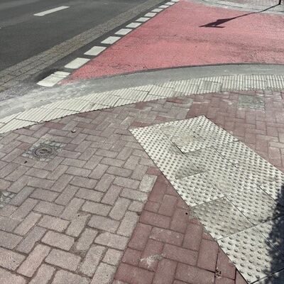 Bild vergr&ouml;&szlig;ern: Bodenindikatoren