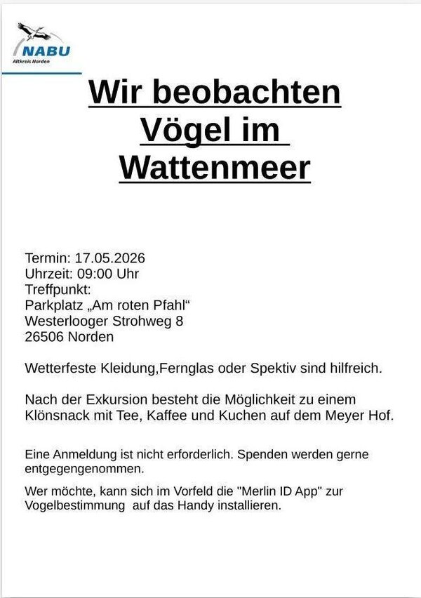 Vogelbeobachtung am Wattenmeer
