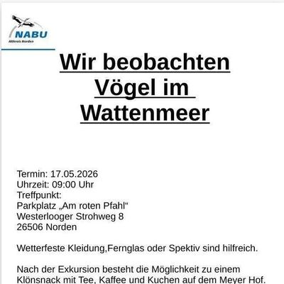Vogelbeobachtung am Wattenmeer