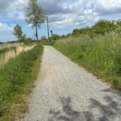 Bild vergr&ouml;&szlig;ern: Wanderweg Kolkpadd (vorher)