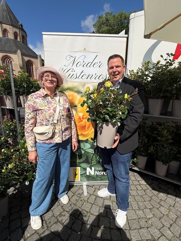 Bild vergr&ouml;&szlig;ern: Norder K�stenrose