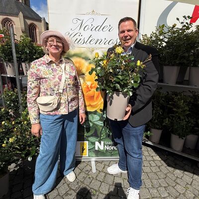 Norder K&uuml;stenrose