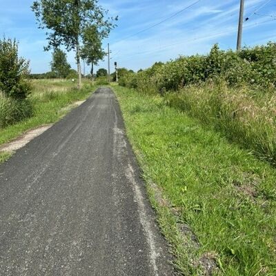Bild vergr&ouml;&szlig;ern: Bankette (nachher)