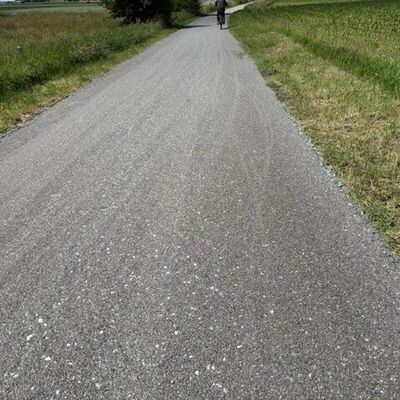 Bild vergr&ouml;&szlig;ern: Bankette (nachher)