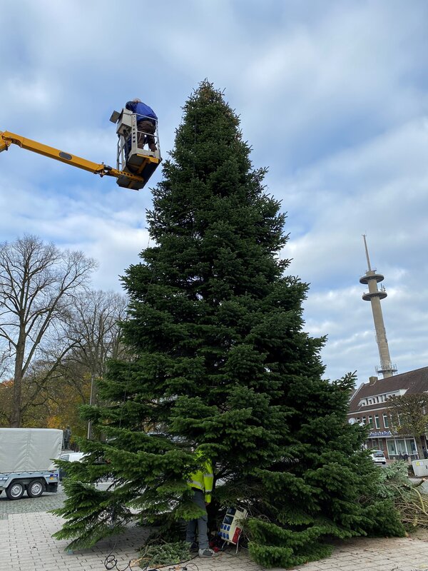 Bild vergr&ouml;&szlig;ern: Weihnachtsbaumspende gesucht