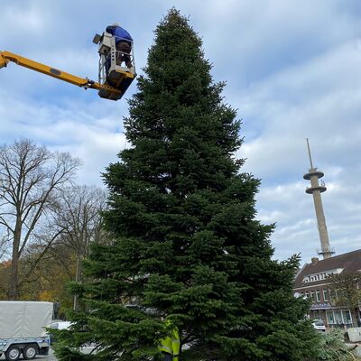 Weihnachtsbaumspende gesucht