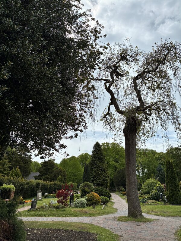 Bild vergr&ouml;&szlig;ern: Parkfriedhof