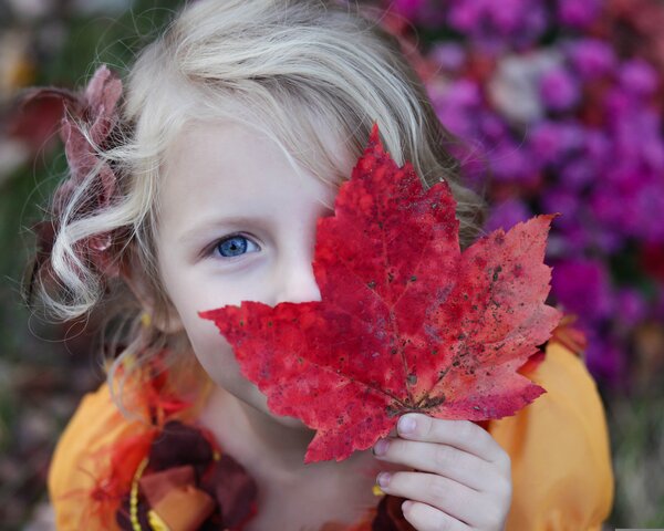 Bild vergr&ouml;&szlig;ern: Herbstkids