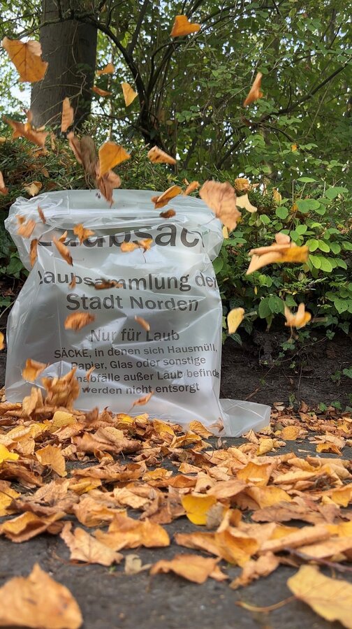 Bild vergr&ouml;&szlig;ern: Laubsammlung Stadt Norden
