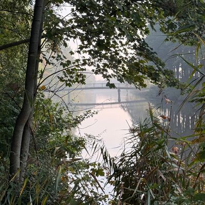 Bild vergr&ouml;&szlig;ern: Hexenkolkbr�cke