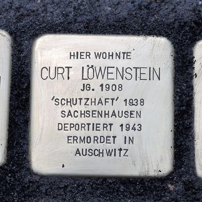 Stolpersteine für die Familie Löwenstein, Schlachthausstraße 1 (heute Knyphausenstraße 1)